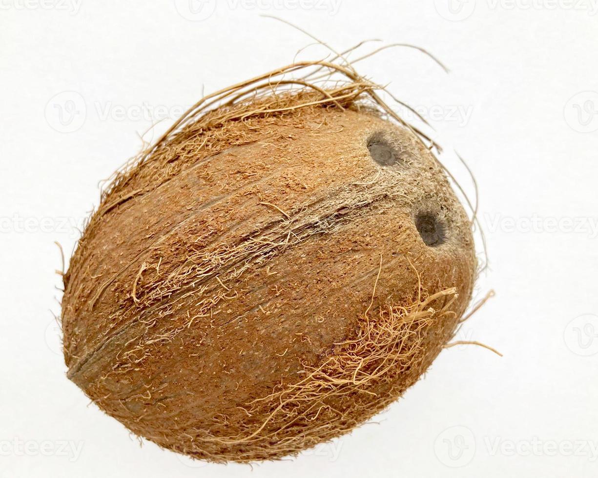 Coconut isolated on white background. photo