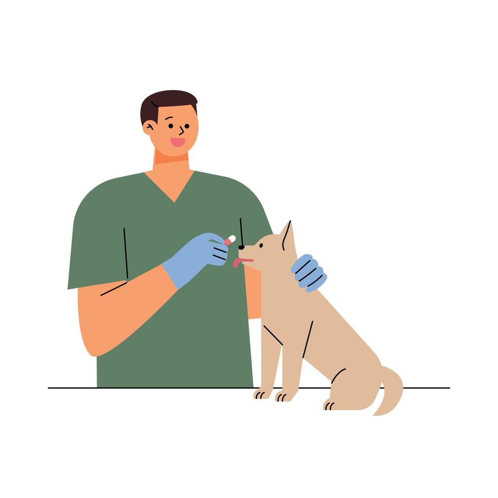 un veterinario masculino le está dando medicina a un perro enfermo. ilustración vectorial plana. vector