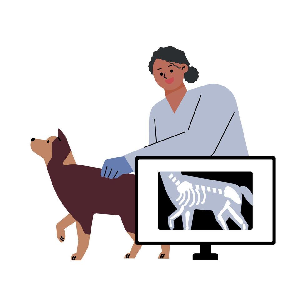 A female veterinarian is checking an x-ray of a dog. flat vector illustration.