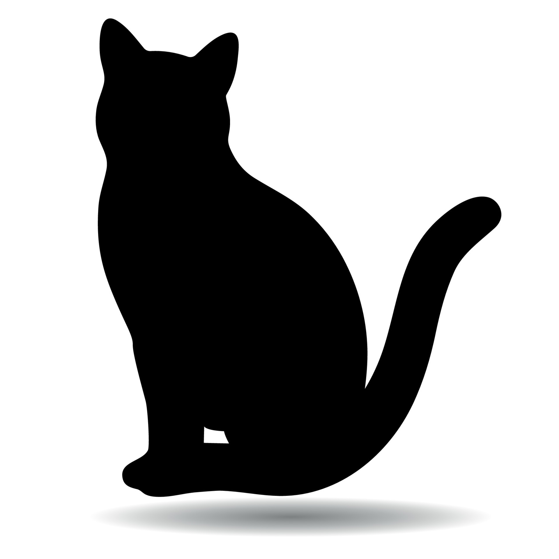 Black cat with shadow 13430454 Vector Art at Vecteezy
