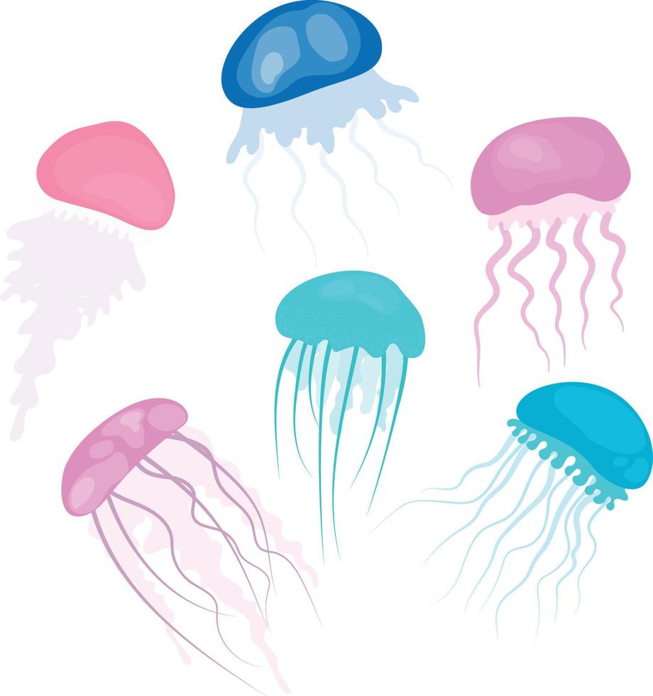 conjunto de medusas de colores vector