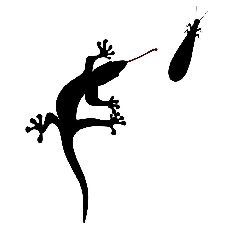 Lizard vector silhouette on white background. Lizards catch insects with their tongues.