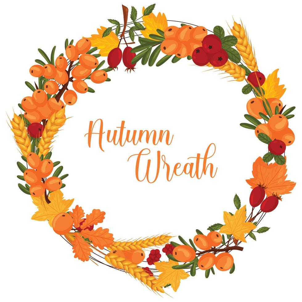 Autumn wreath with wheat, sea buckthorn, autumn leaves with space for text. Vector illustration isolated white background.