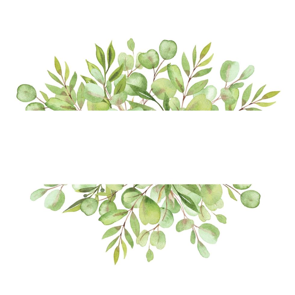 marco de ilustración acuarela con hojas y vegetación de eucalipto vector