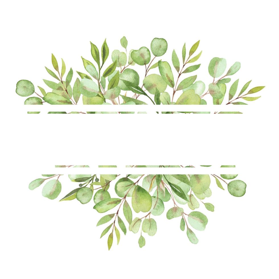 watercolor illustration frame with leaves and greenery of eucalyptus vector