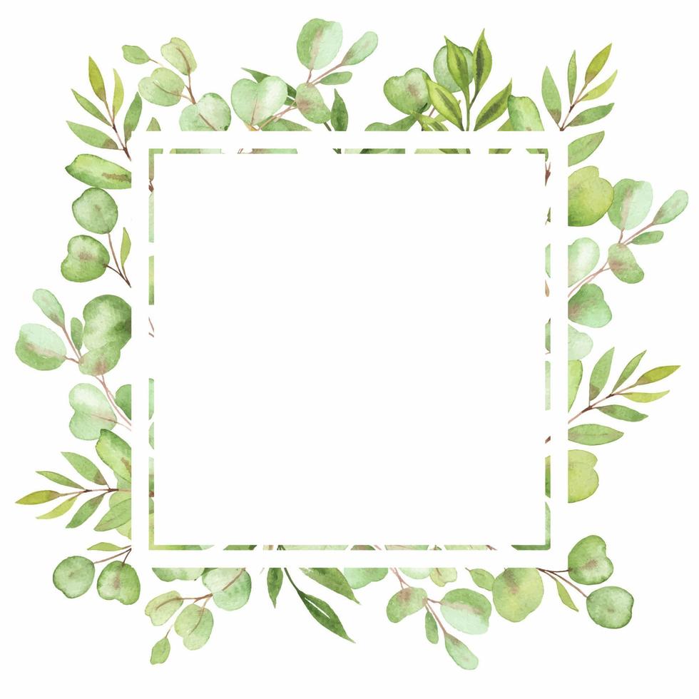 watercolor illustration frame with leaves and greenery of eucalyptus vector