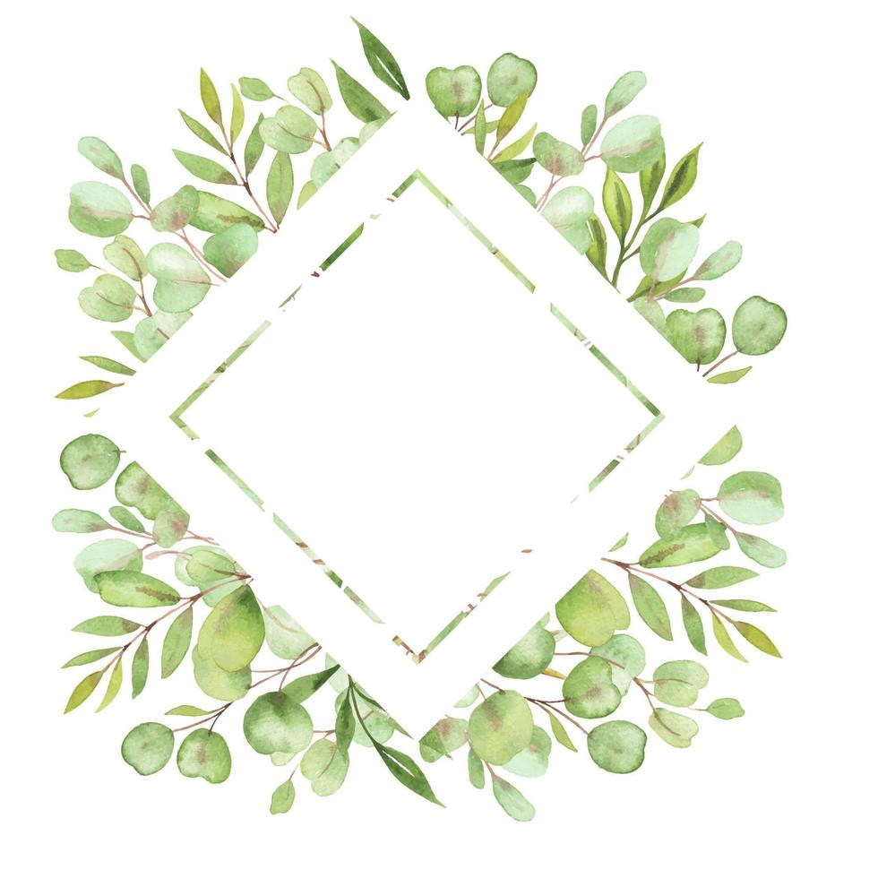 watercolor illustration frame with leaves and greenery of eucalyptus vector
