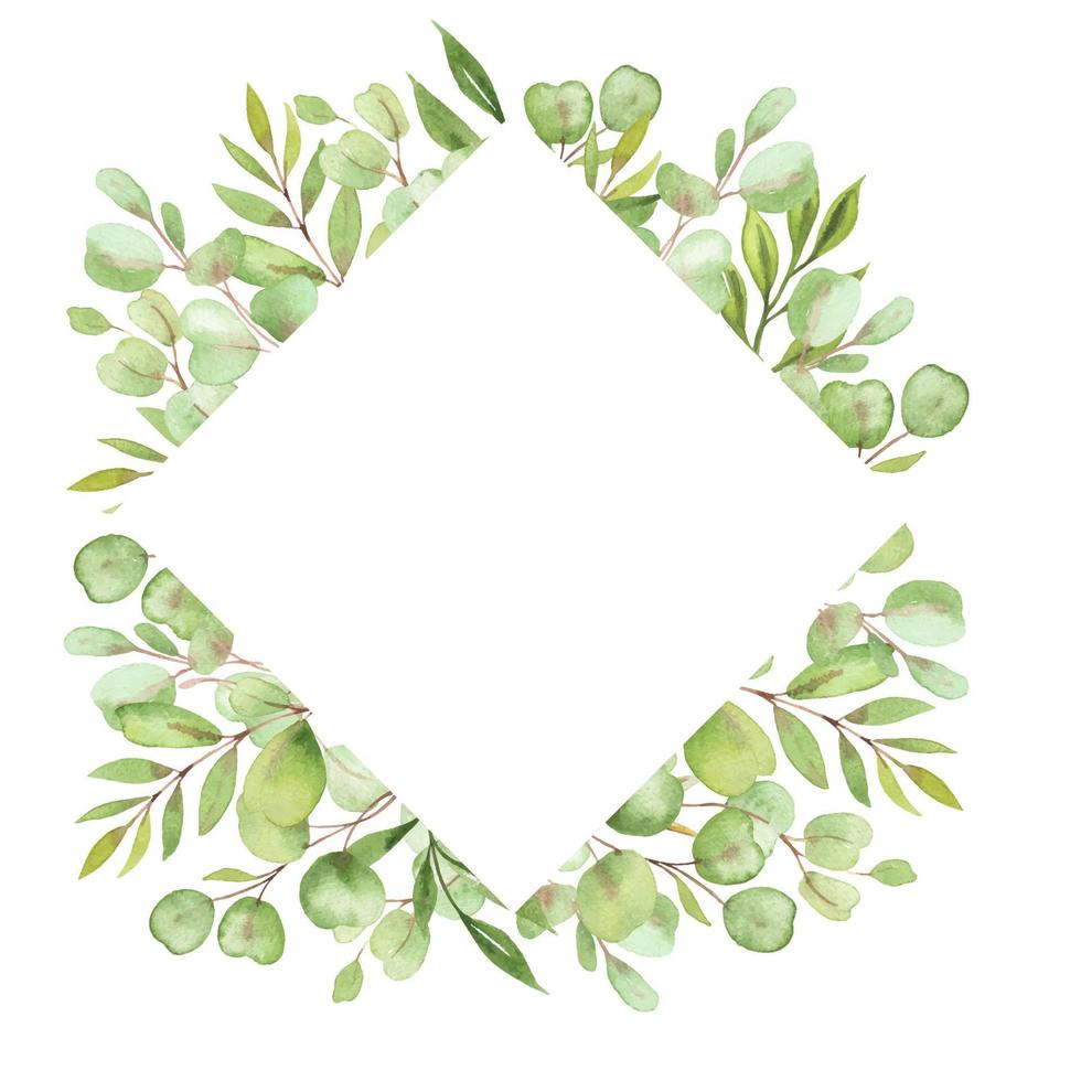 watercolor illustration frame with leaves and greenery of eucalyptus vector
