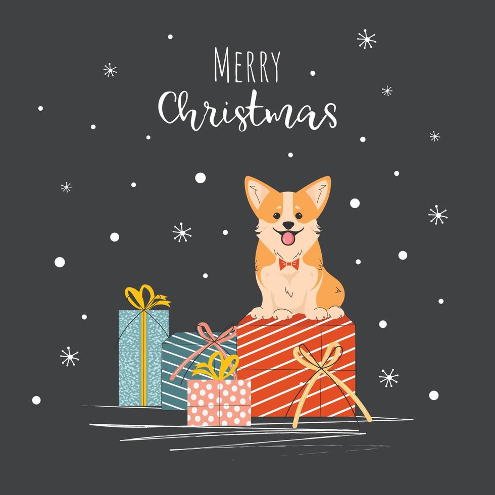 tarjeta de navidad y año nuevo con perro corgi con cajas de regalo. vector. vector