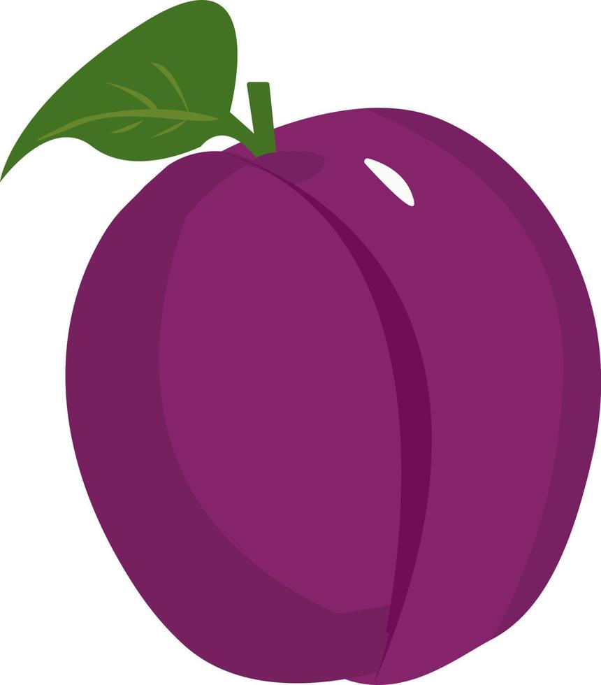 Purple plum, illustration, vector on white background