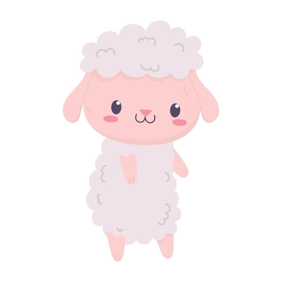 cute sheep animal cartoon isolated icon vector