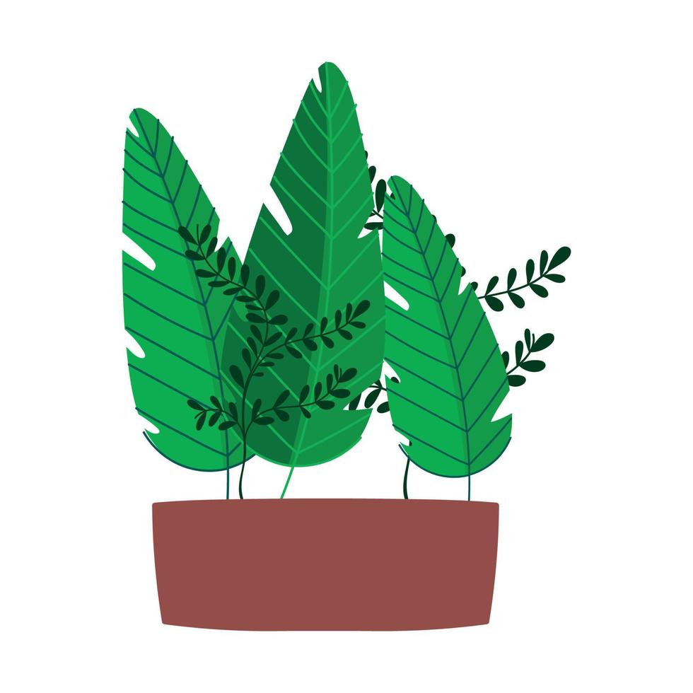 potted plants branches decoration interior isolated icon vector