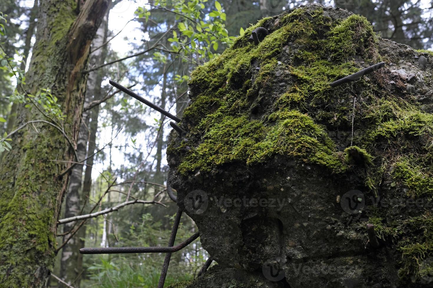 Remains of a bunker in the Hurtgen Forest in Germany photo