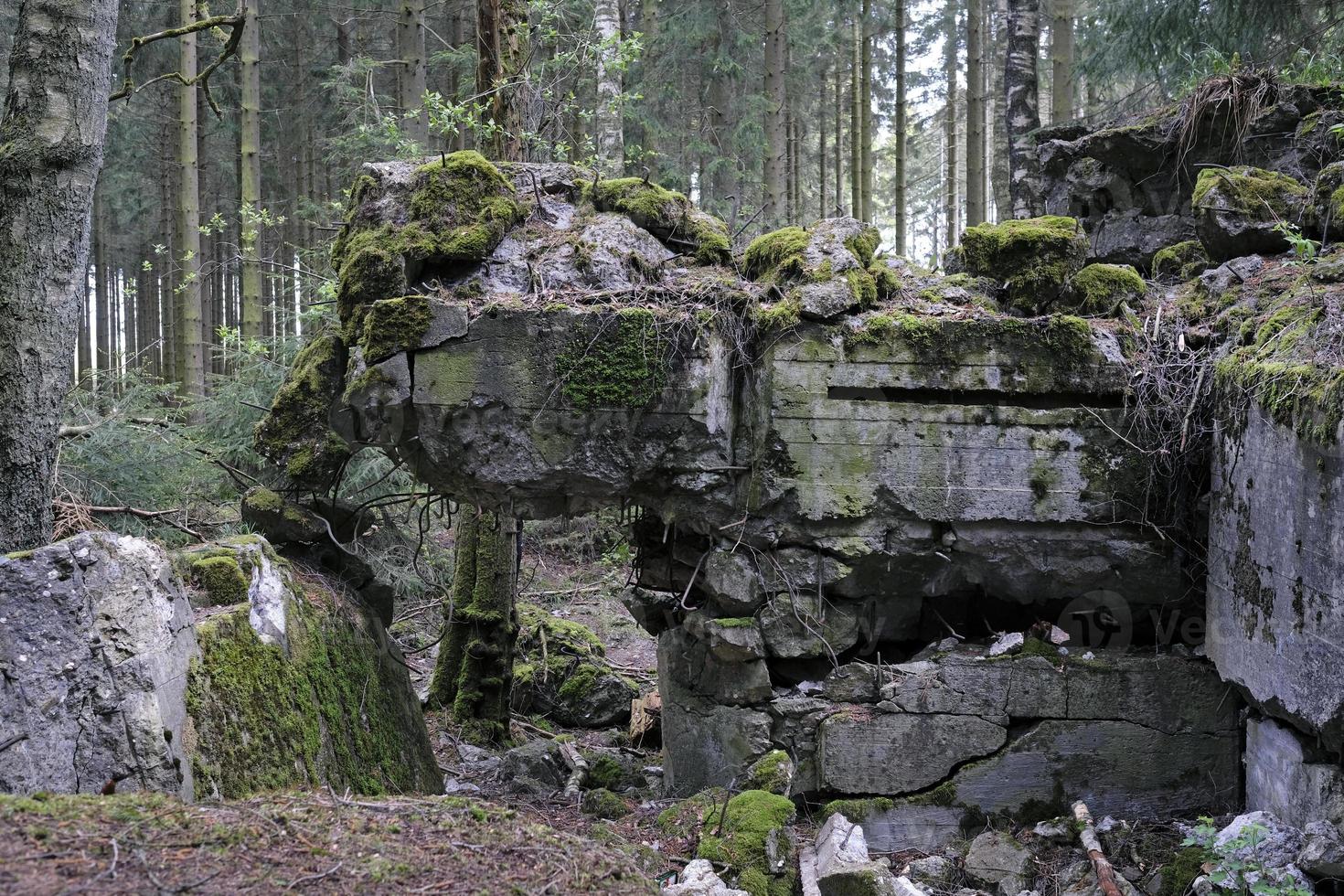 Remains of a bunker in the Hurtgen Forest in Germany photo