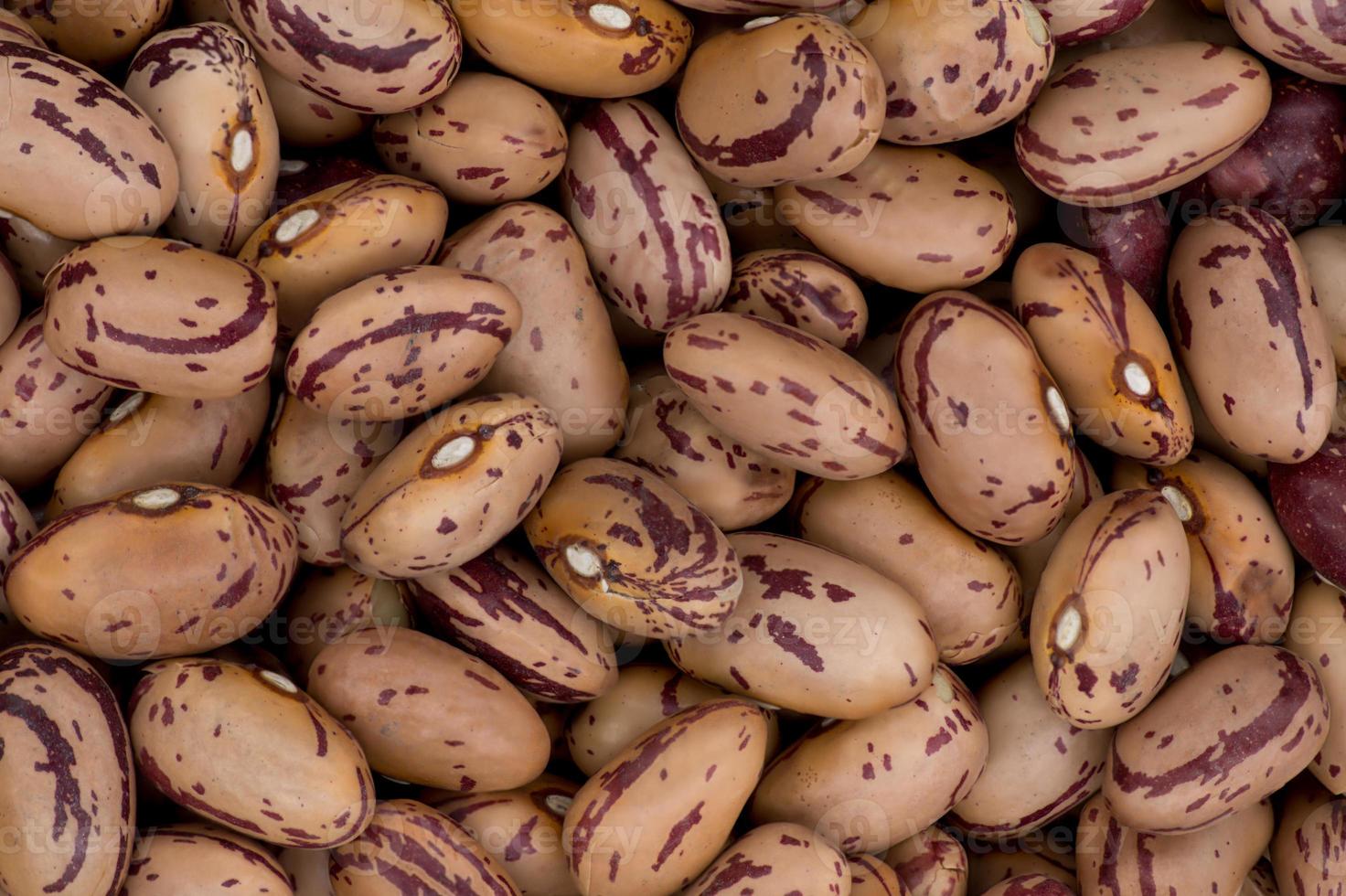 detailed texture pattern of brown pinto beans  background or wallpaper photo