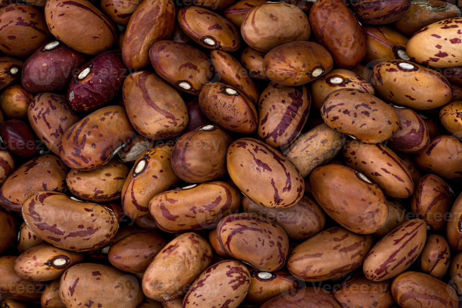 detailed texture pattern of brown pinto beans background or wallpaper photo