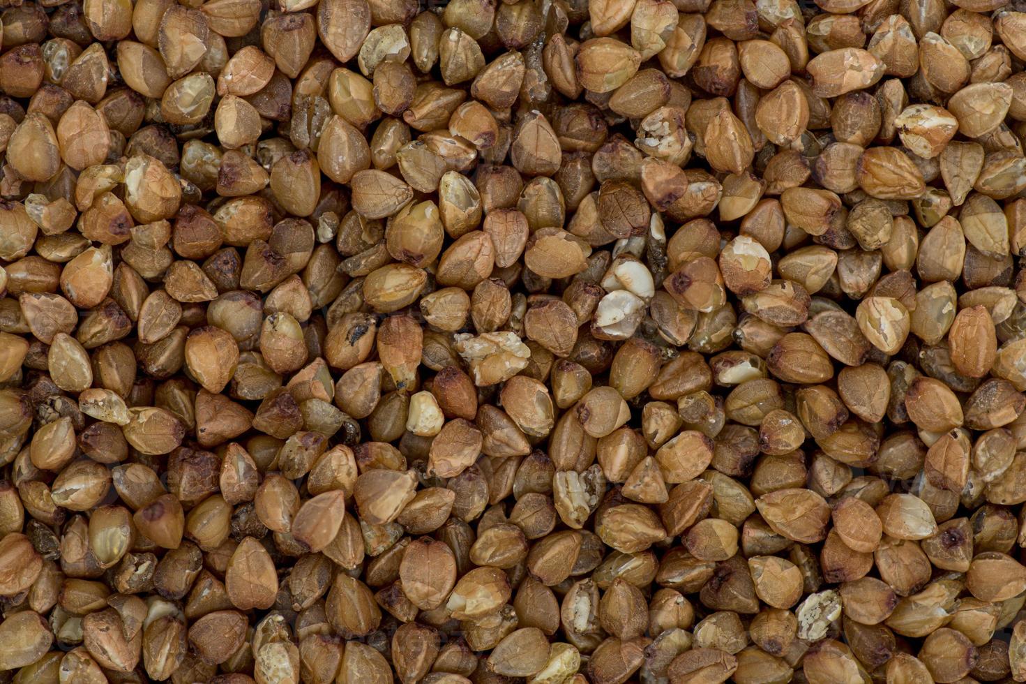 High angle full-frame photo of wholegrain buckwheat grains making pattern for background, wallpaper