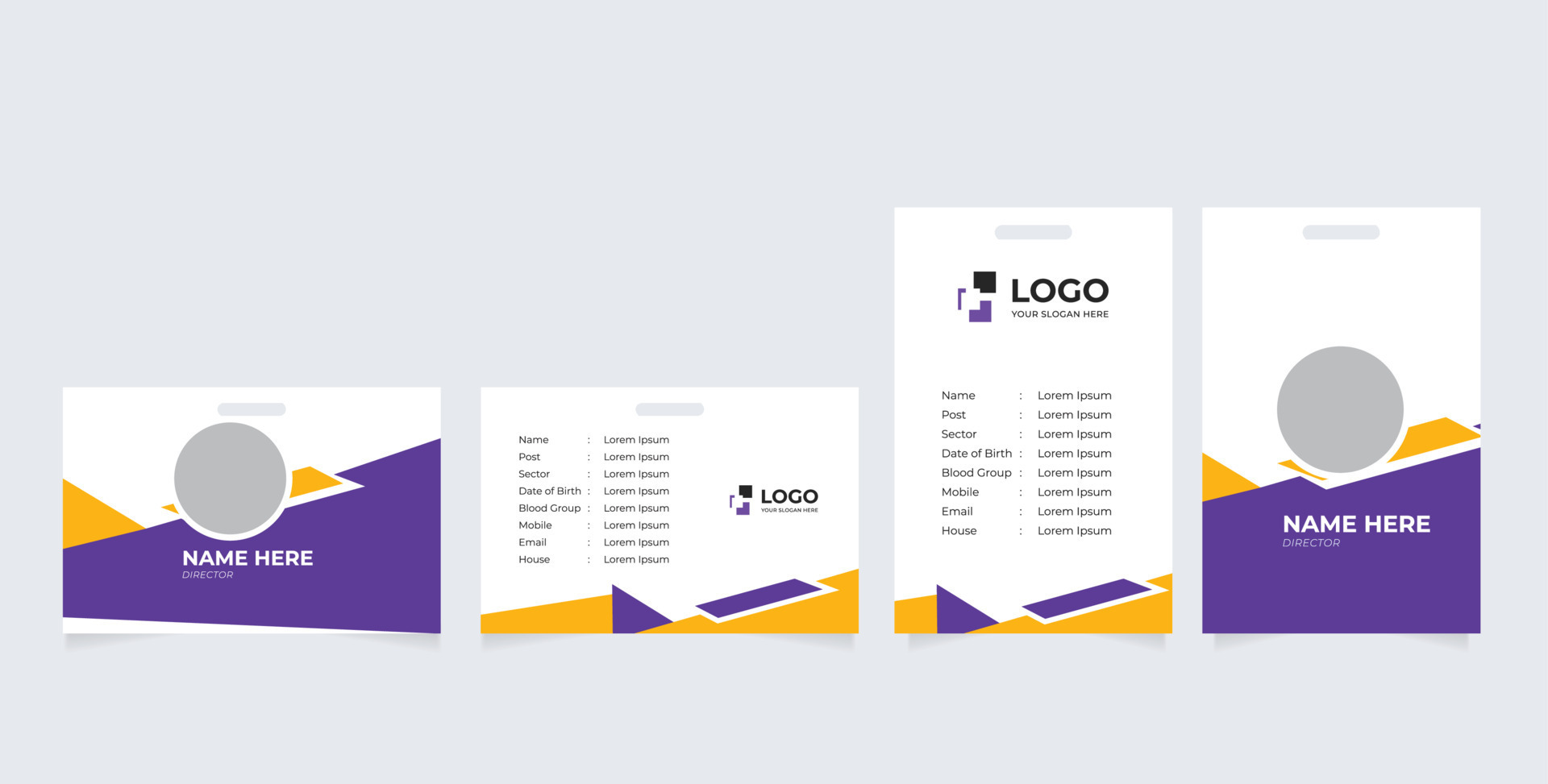 Identification Horizontal and Vertical id cards set with elements fresh color 13435761 Vector