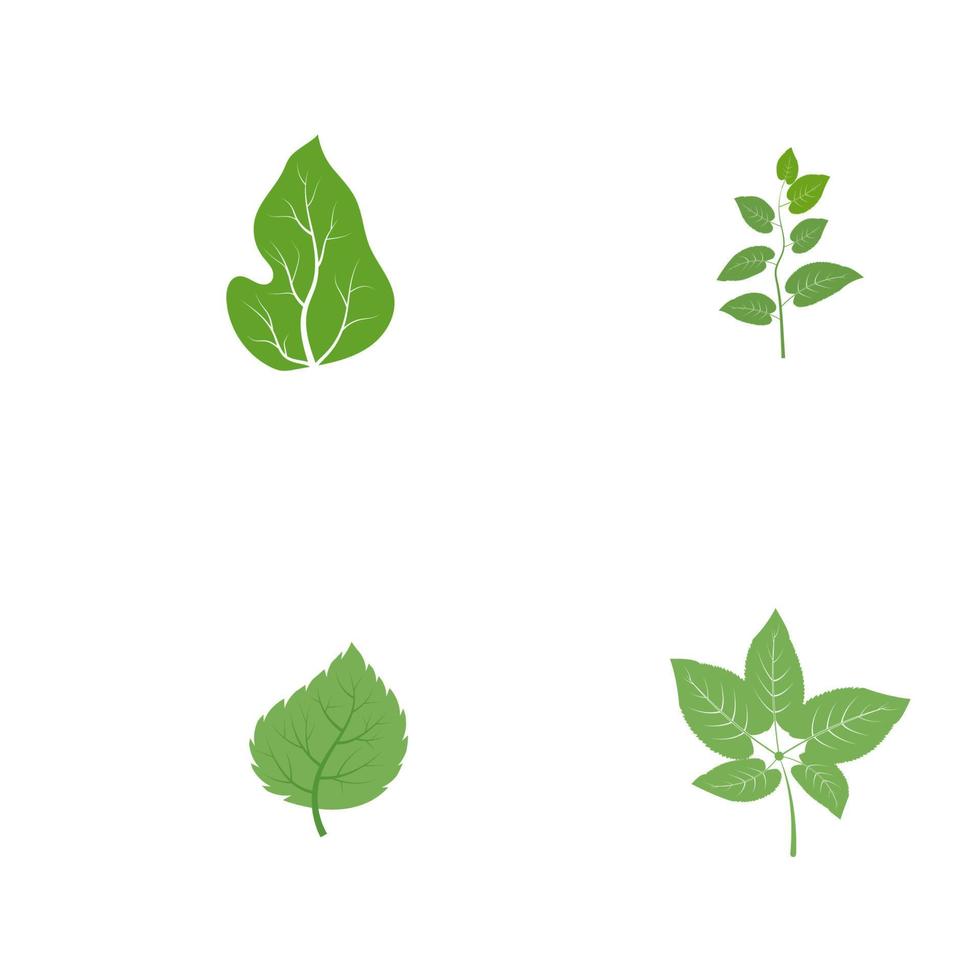 elemento de la naturaleza de la ecología de la hoja del árbol verde vector