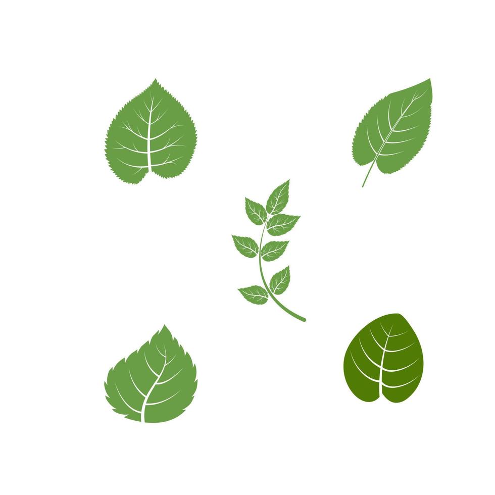 elemento de la naturaleza de la ecología de la hoja del árbol verde vector