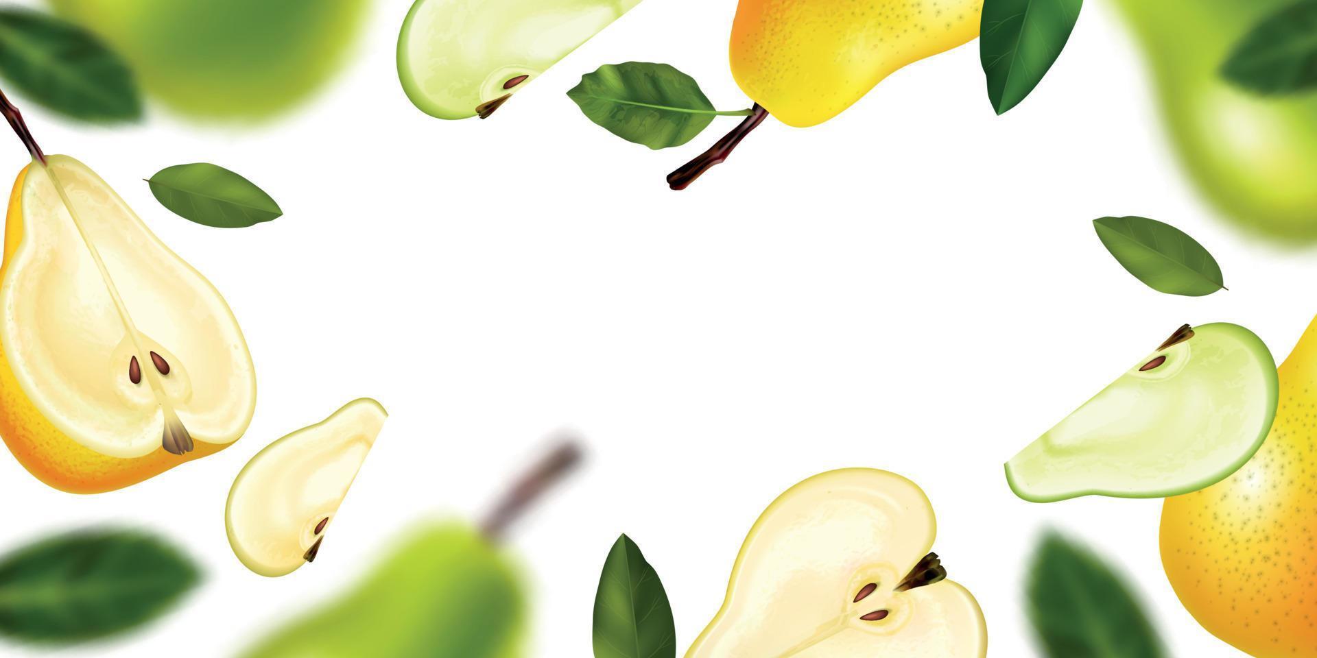 Realistic Pear Frame vector