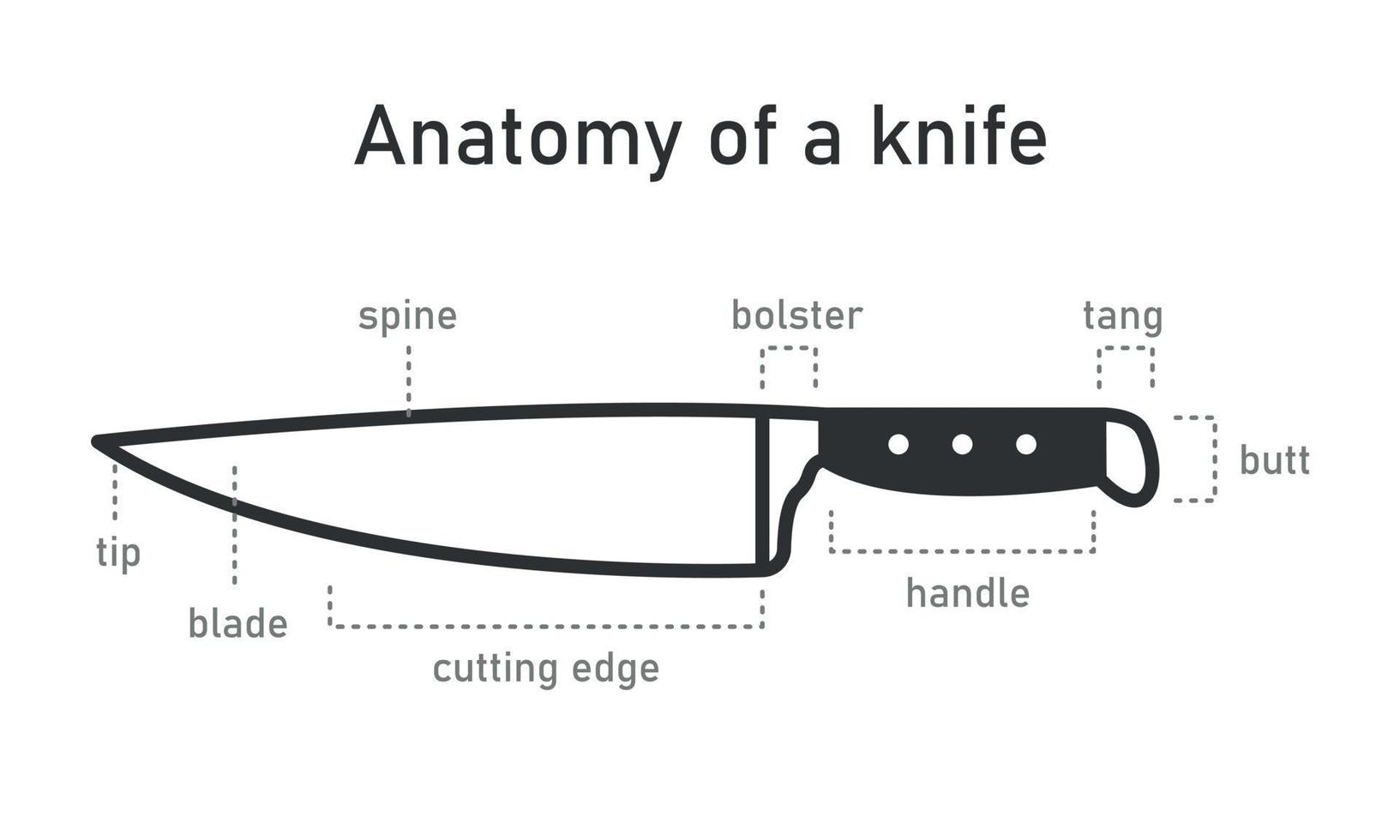 The Parts of a Kitchen Knife