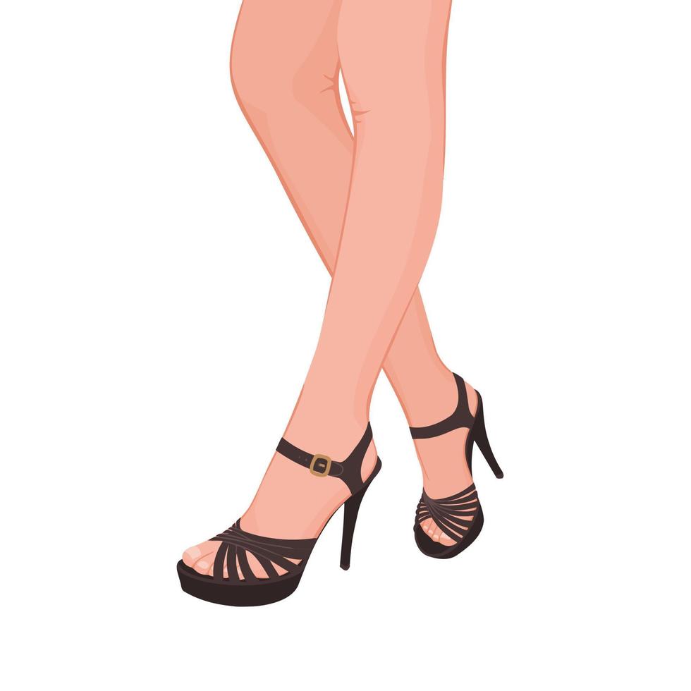 beautiful legs in heels vector