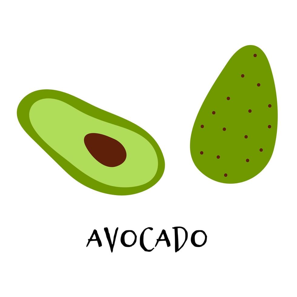 Vector illustration of ripe avocado in hand drawn flat style.