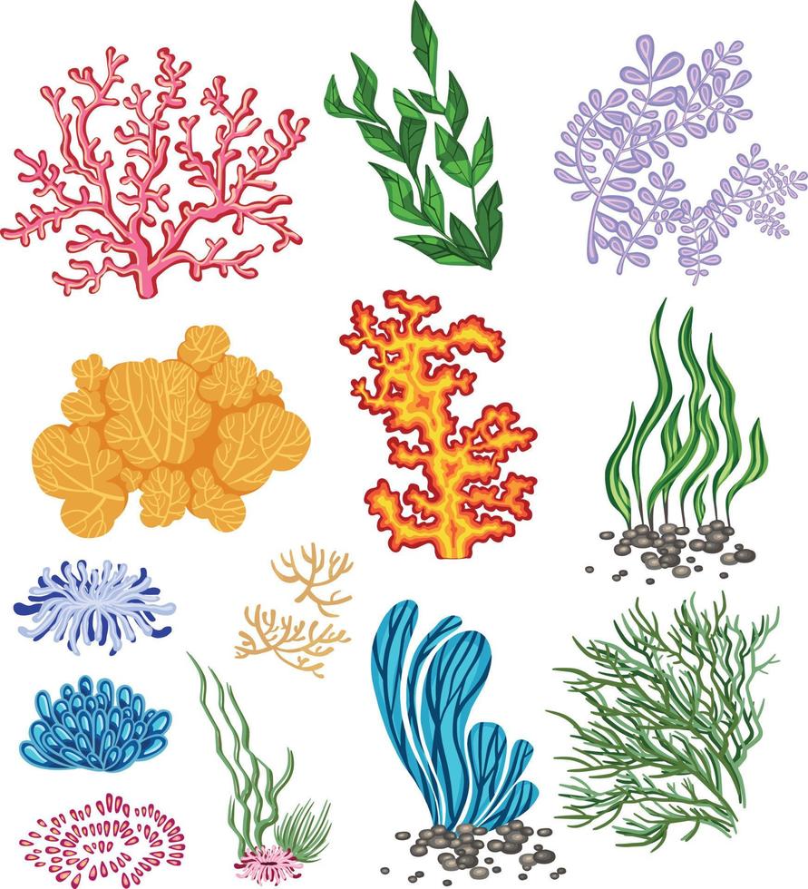 Set of marine vector plants, hand drawn algae