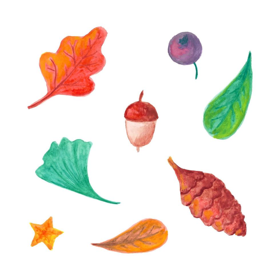 Watercolor set of leaves, acorn and fir cone. vector