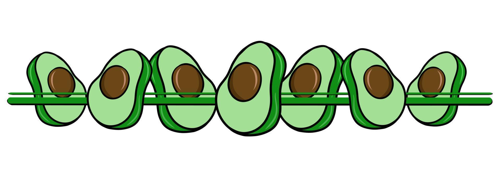 Horizontal border, edge, green halves of avocado fruits , vector illustration in cartoon style on a white background