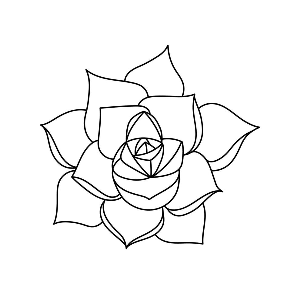 Succulent echeveria in doodle style, vector illustration. Desert flower hand drawn for print and design. Isolated element on a white background. Home plant outline, side view