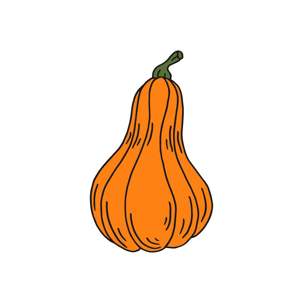 calabaza. icono de color plano. diseño de acción de gracias. calabaza de otoño. vector