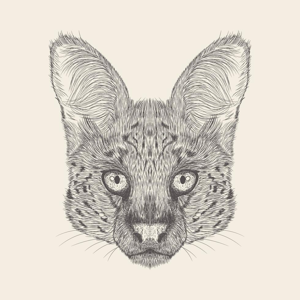 African Wild Cat vector