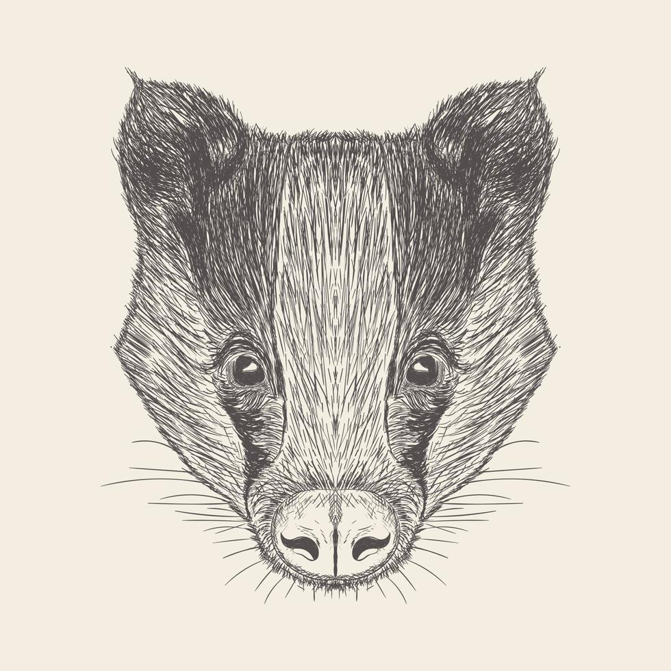 Trendy Badger Concept vector