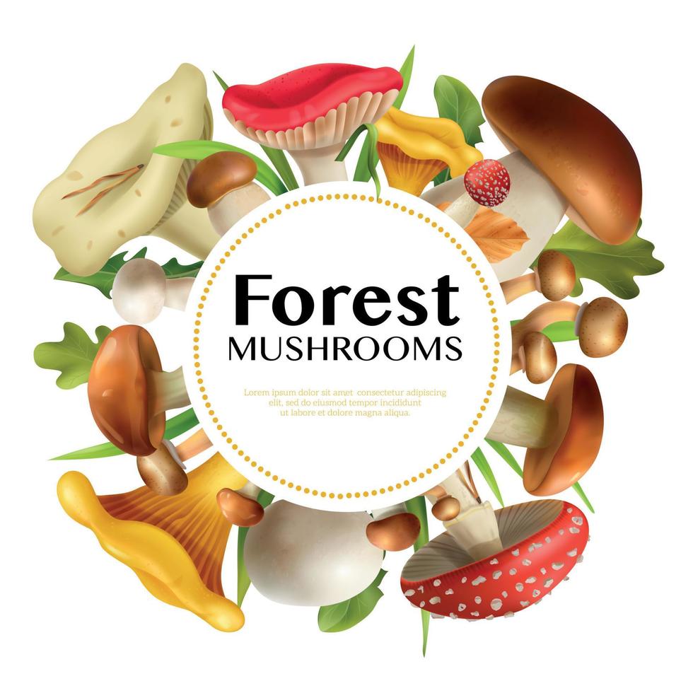 Mushrooms Realistic Frame vector