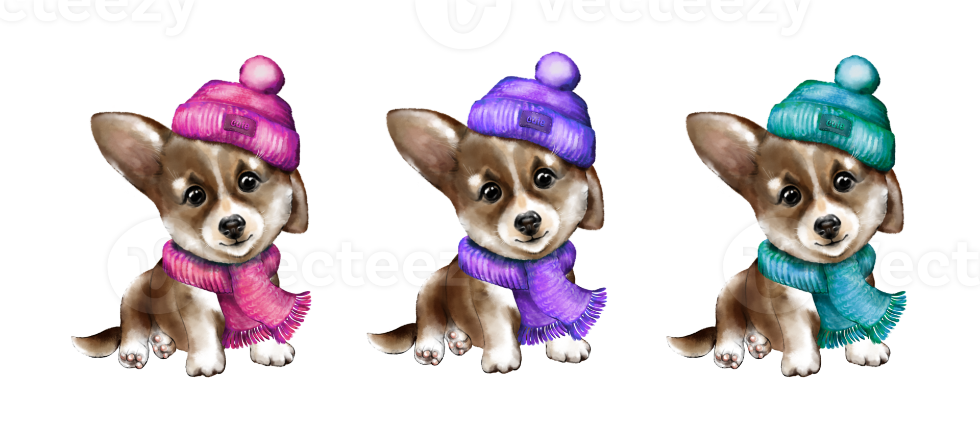 carino acquerello corgi cucciolo nel un' uncinetto cappello e sciarpa. fatto di mano. bianca sfondo. corgi cane. png