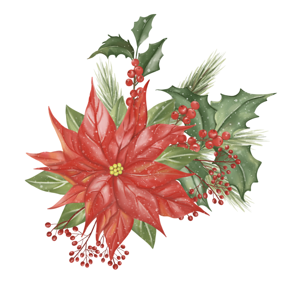 gran flor roja de navidad, bayas rojas y muchos tipos de hojas verdes de invierno se han cubierto con un poco de nieve blanca y copos de nieve. imagen de acuarela dibujada a mano. png