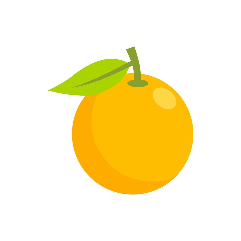 Orange fruit hand drawn illustration vector design. Orange fruits isolated on white background.