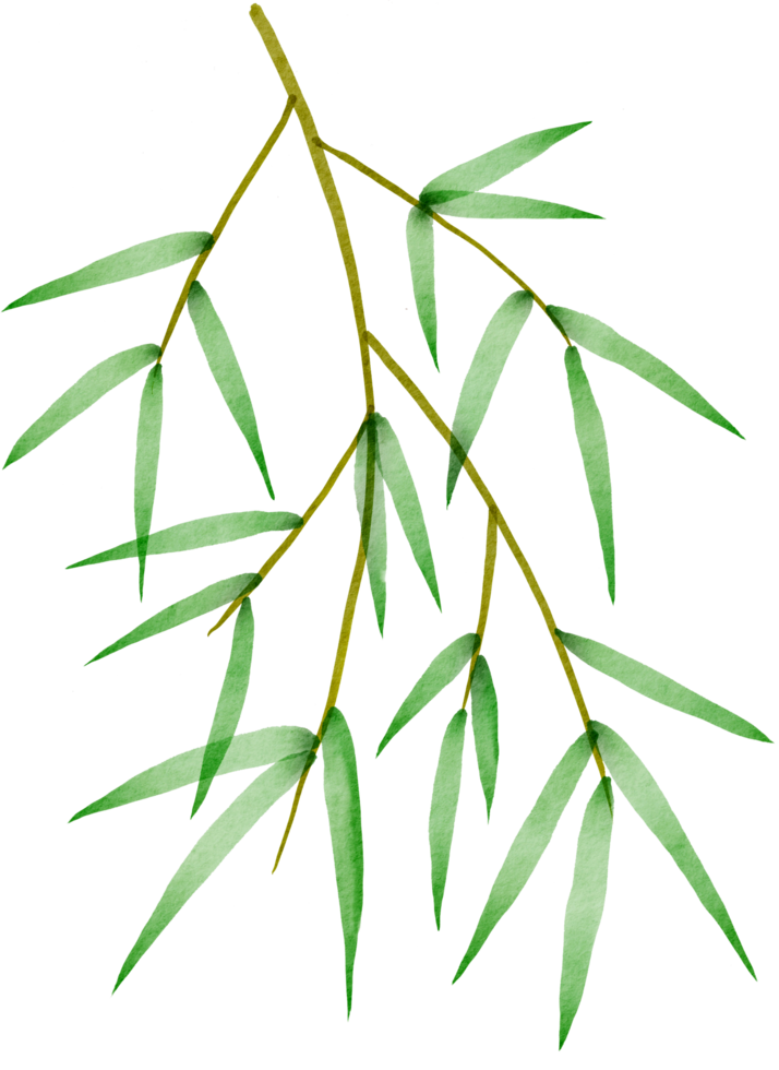 cutout bamboo leaf simplicity watercolor painting. png