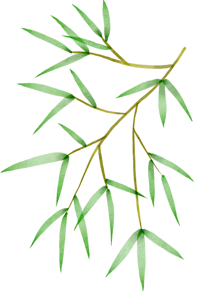 cutout bamboo leaf simplicity watercolor painting. png