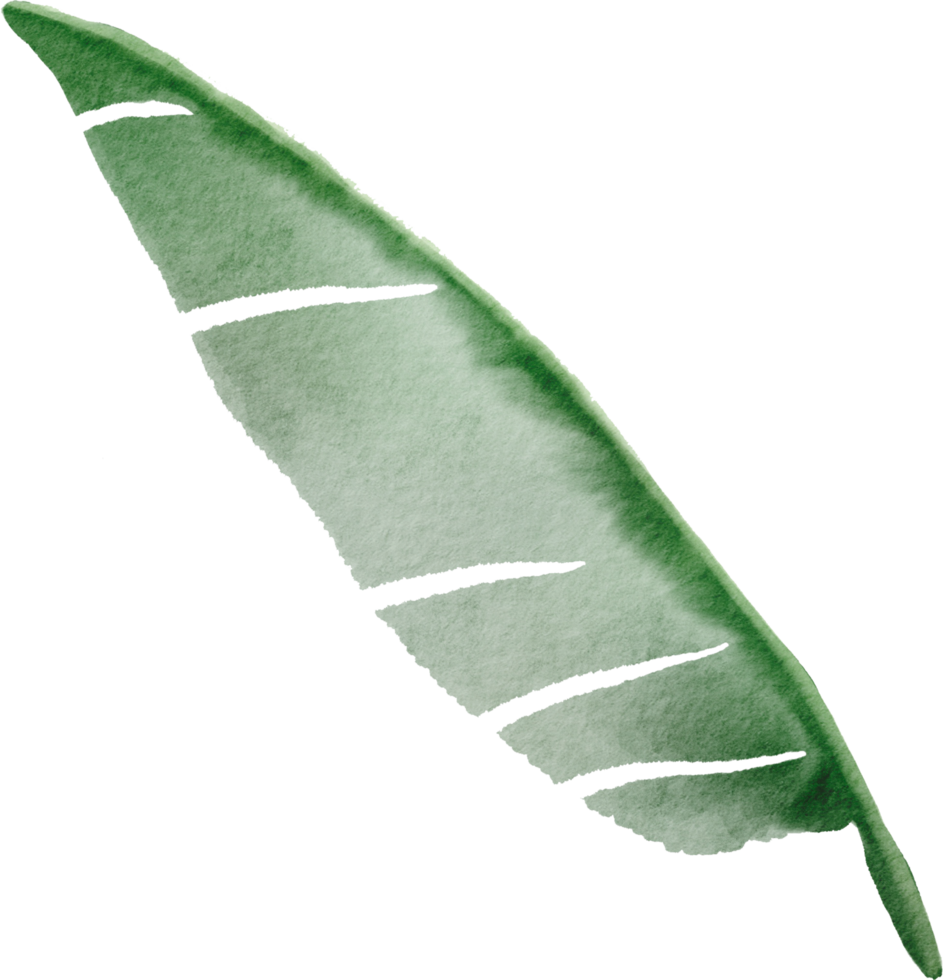 cutout banana leaf simplicity watercolor painting. 13441590 PNG