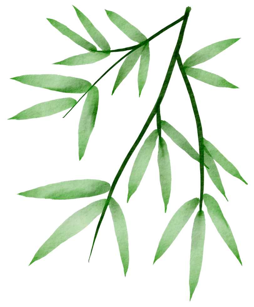 cutout bamboo leaf simplicity watercolor painting. png
