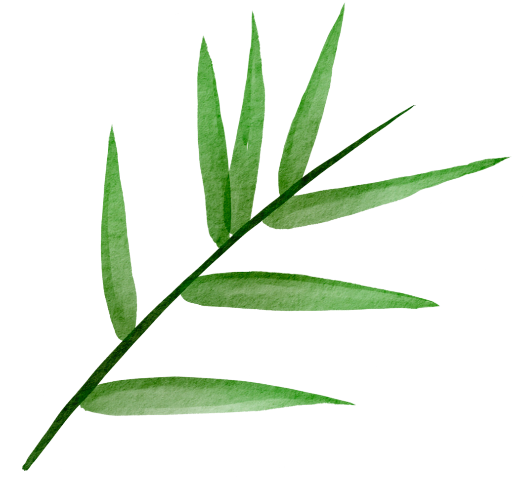 cutout bamboo leaf simplicity watercolor painting. png