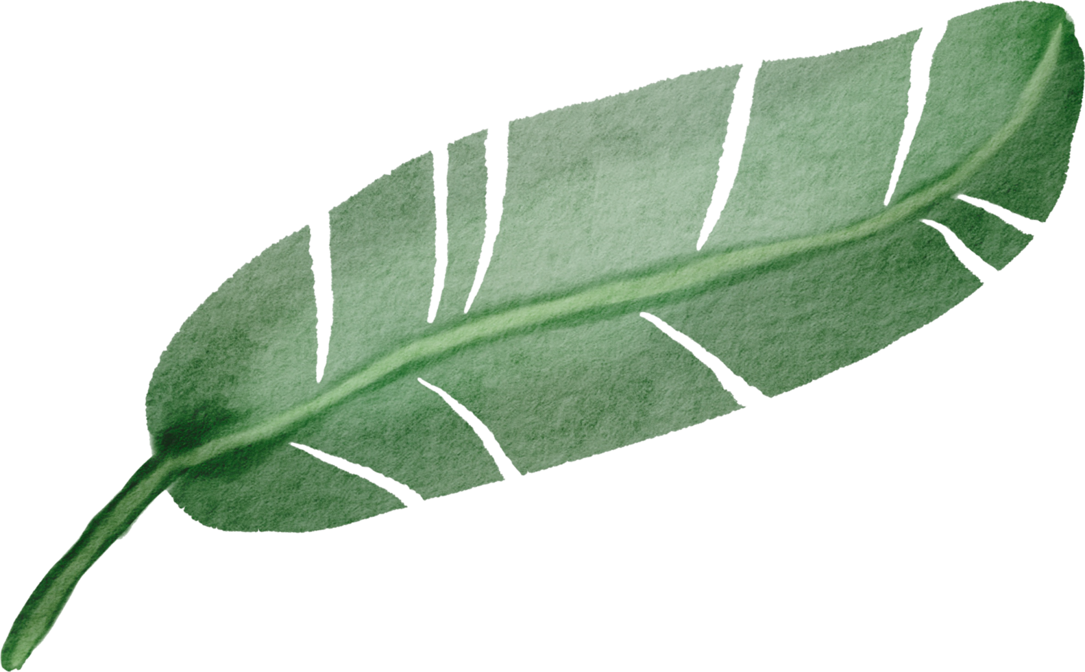 cutout banana leaf simplicity watercolor painting. png