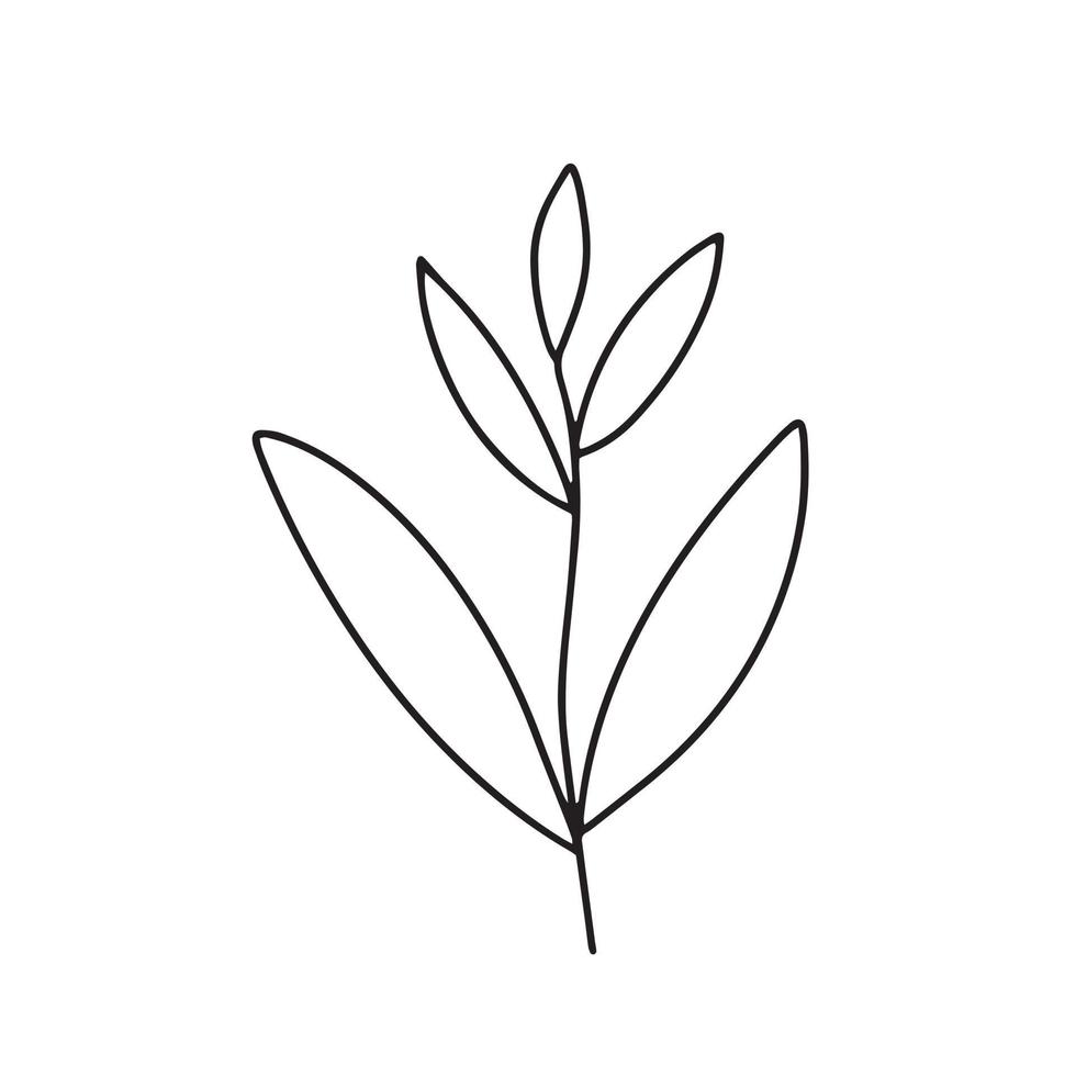 Hand drawn branch with leaves doolde vector clipart