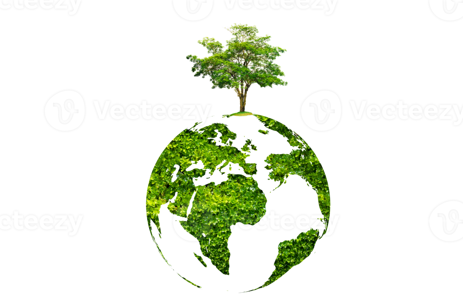 tree in the green globe Isolate on transparent background PNG file