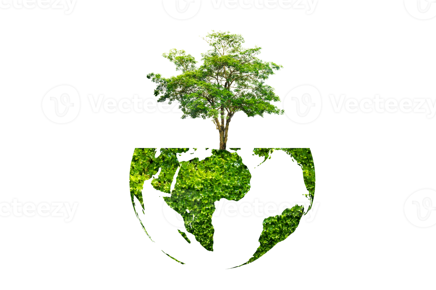 tree in the green globe Isolate on transparent background PNG file
