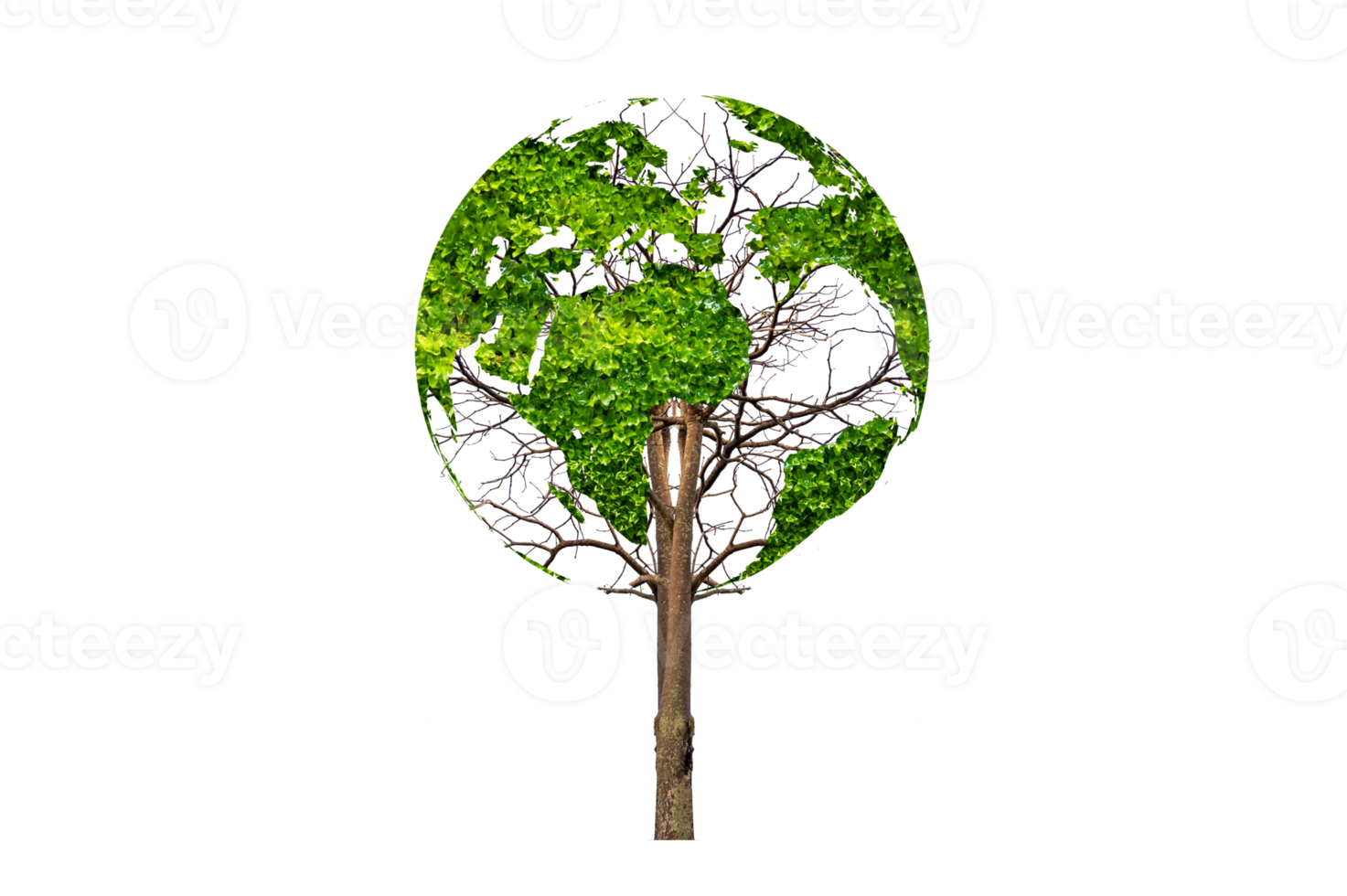 tree in the green globe Isolate on transparent background PNG file