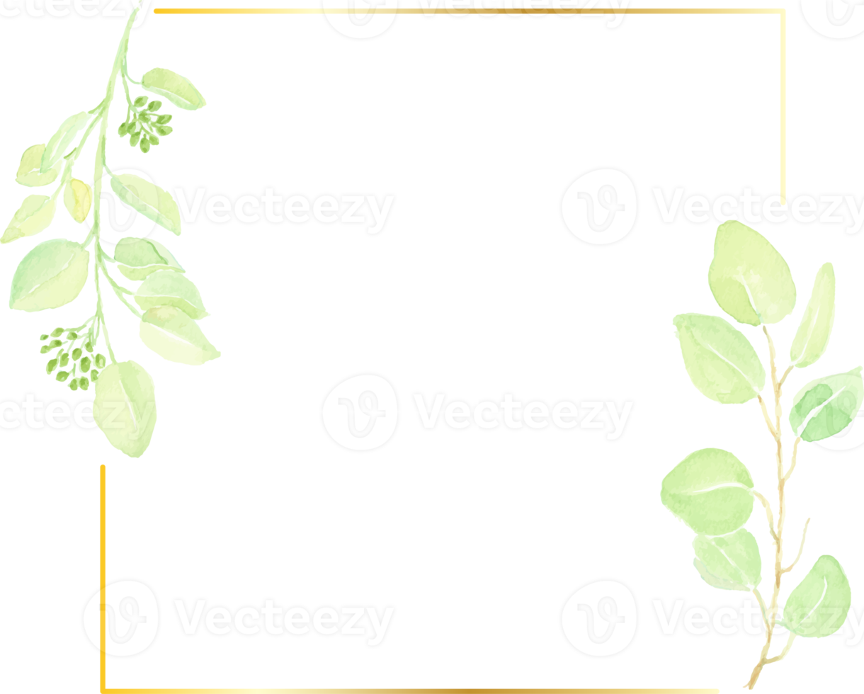 hoja de eucalipto sembrada dibujada a mano con acuarela con marco mínimo dorado png